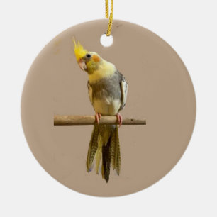 Décoration En Céramique Cockatiel