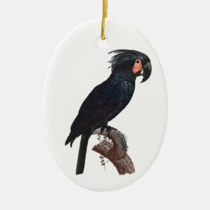 Décoration En Céramique Cockatoo de palme, perroquet de probosciger