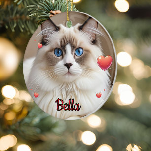 Décoration En Céramique Coeurs photo simples Pet CAT Personnaliser