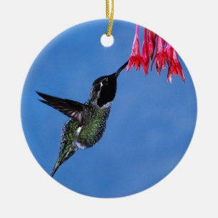 Décoration En Céramique Colibri [1]