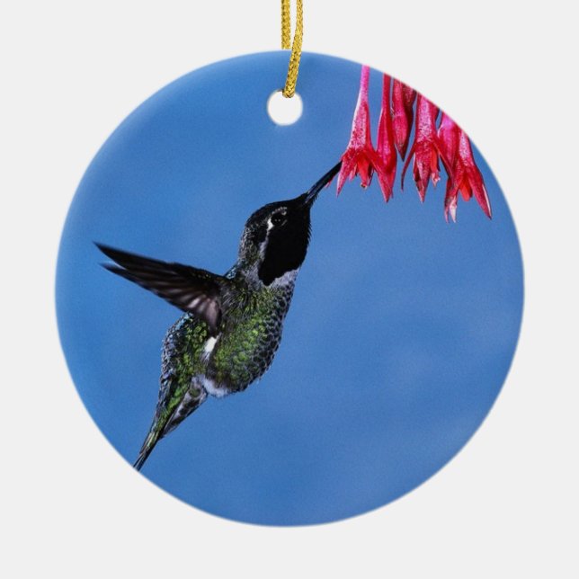 Décoration En Céramique Colibri [1] (Devant)