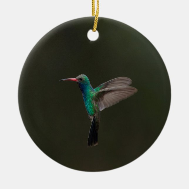 Décoration En Céramique Colibri à bec large en vol (Devant)