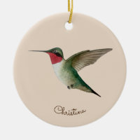 Colibri à gorge rubis