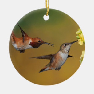 Décoration En Céramique Colibri Rufous de flottement