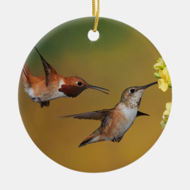 Décoration En Céramique Colibri Rufous de flottement (Devant)