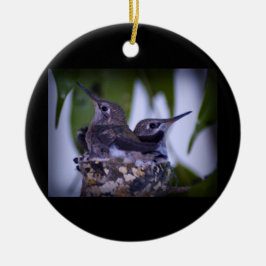 Décoration En Céramique Colibris de bébé