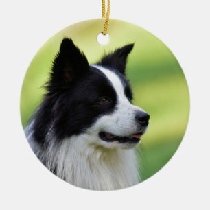 Décoration En Céramique Collie Chien noir et blanc