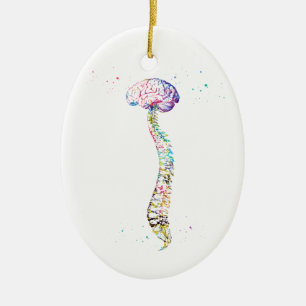 Décoration En Céramique Colonne vertébrale humaine avec cerveau
