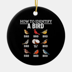 Décoration En Céramique Comment Identifier Un Oiseau Drôle À Observer