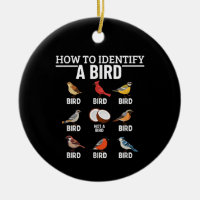 Comment identifier un oiseau Drôle d'observation d