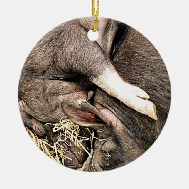 DÉCORATION EN CÉRAMIQUE COUPER LES COCHONS DE SOMMEIL (Devant)