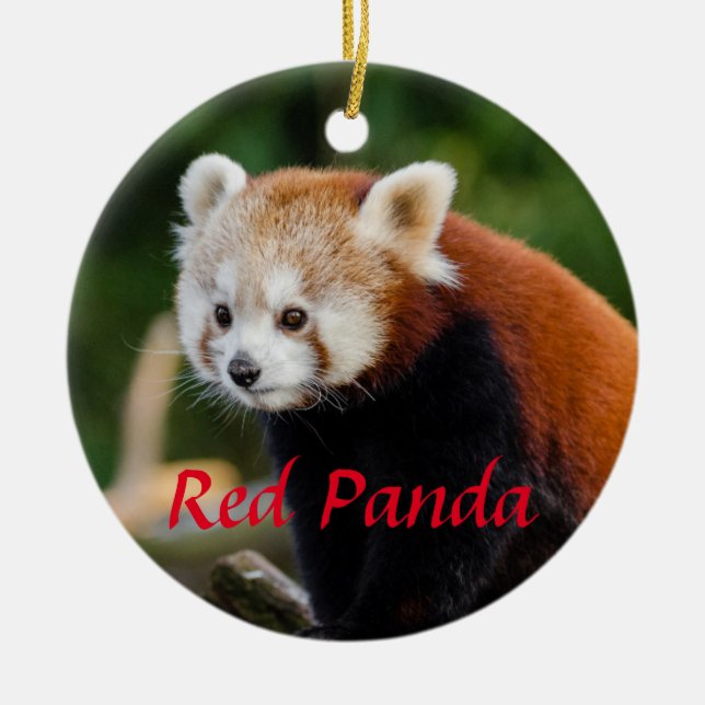 Décoration En Céramique Couteau Red Panda Fire Fox (Devant)