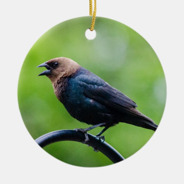 Décoration En Céramique Cowbird Appel (Devant)
