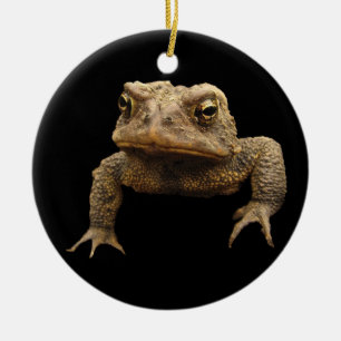 Décoration En Céramique Crapaud américain