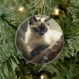 Décoration En Céramique Curieux grimpeur Siamese Kitten