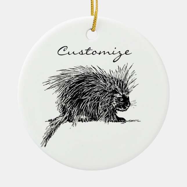 Décoration En Céramique Cute Bristly Hedgehog Thunder_Cove (Devant)