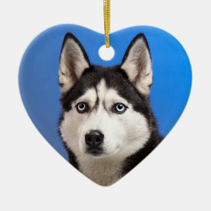 Décoration En Céramique Cute Chien chiot sibérien Husky