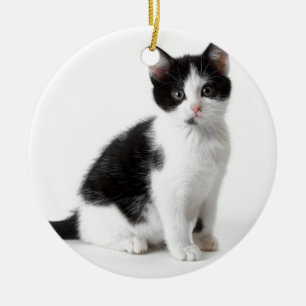 Décoration En Céramique Cute Funny chaton en furie noir et blanc