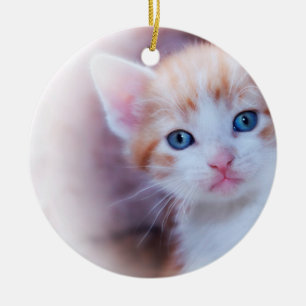 Décoration En Céramique Cute Kitten 1 Photo