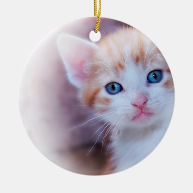 Décoration En Céramique Cute Kitten 2 Photo Round (Devant)