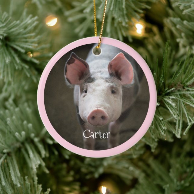 Décoration En Céramique Cute Pig Personnalisé (Arbre)