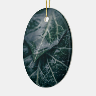 Décoration En Céramique Dark Moody Ivy Feuille Nature Photo