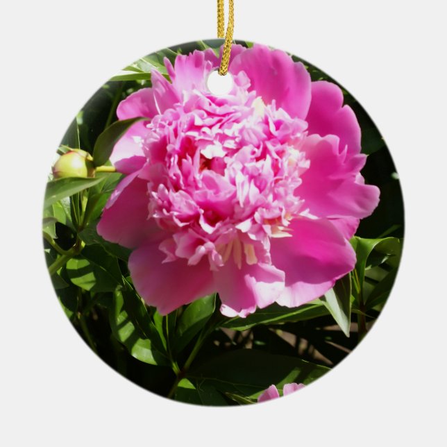 Décoration En Céramique Dark rose peonies (Devant)