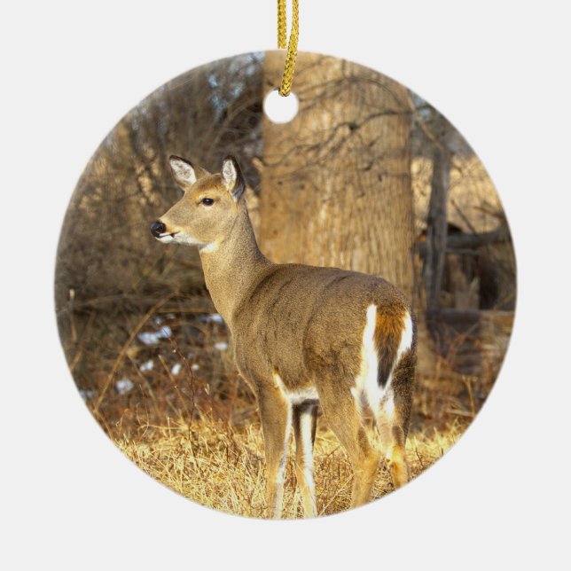 Décoration En Céramique Deer Photo Ornament  (Devant)