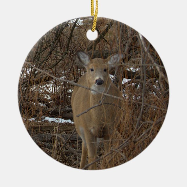 Décoration En Céramique Deer Photo Ornament  (Devant)