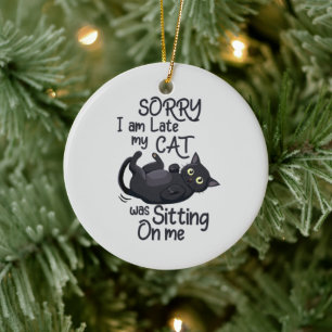 Décoration En Céramique Désolé, je suis en retard - Règles pour chats !