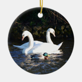 Décoration En Céramique Deux cygnes et un canard
