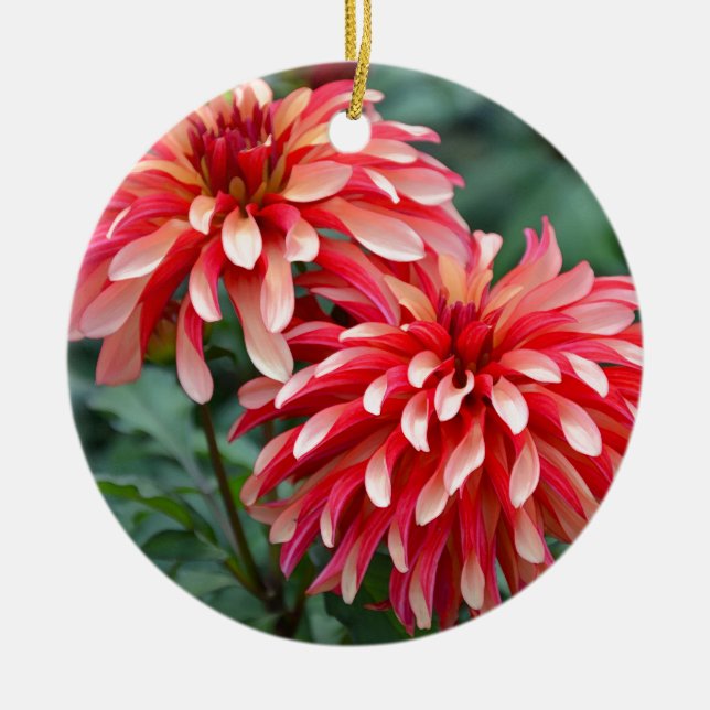 Décoration En Céramique Deux fleurs dahlia roses (Devant)