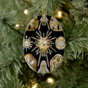 Décoration En Céramique Dollars vintages de sable Urchines maritimes par E