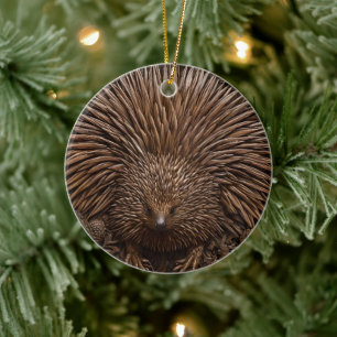 Décoration En Céramique Echidna australienne sculptée en bois