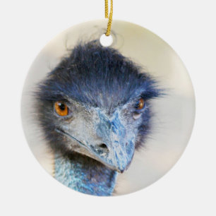 Décoration En Céramique Émeu