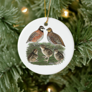Décoration En Céramique Famille Bobwhite Quail