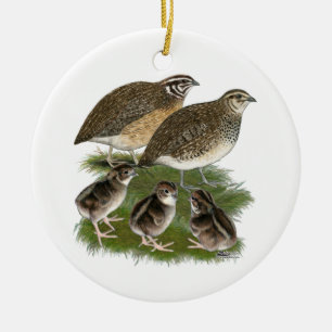 Décoration En Céramique Famille Coturnix Quail