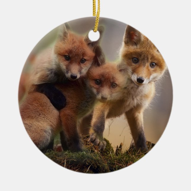 Décoration En Céramique Famille mignonne de Fox (Devant)