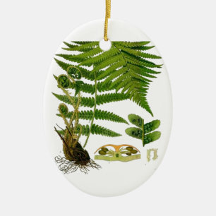 Décoration En Céramique Fern