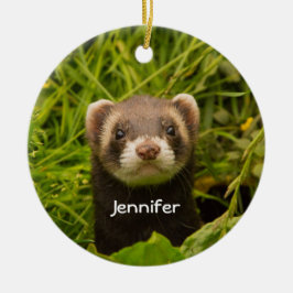 Décoration En Céramique Ferret Brown mignon dans l'herbe photo