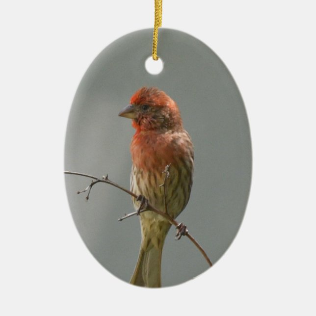 Décoration En Céramique Finch Maison Sur Un Membre. (Devant)