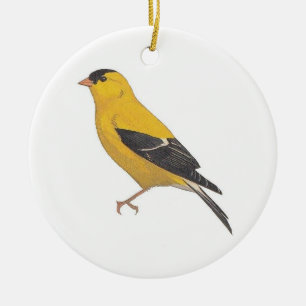 Décoration En Céramique Finch Or
