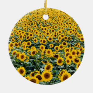 Décoration En Céramique Fleurs de soleil, Wisconsin field