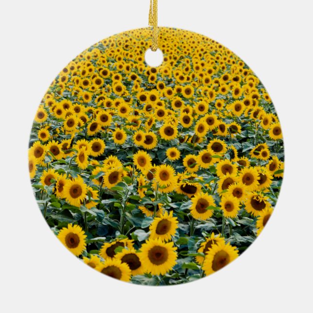 Décoration En Céramique Fleurs de soleil, Wisconsin field (Dos)