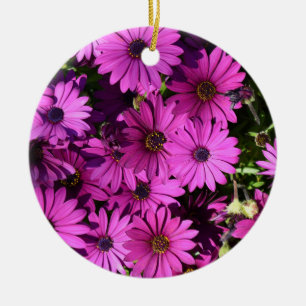 Décoration En Céramique Fleurs d'ostéospermum pourpres