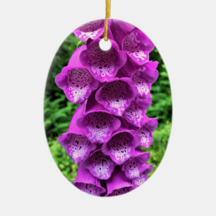 Décoration En Céramique Fleurs Foxglove, Oregon