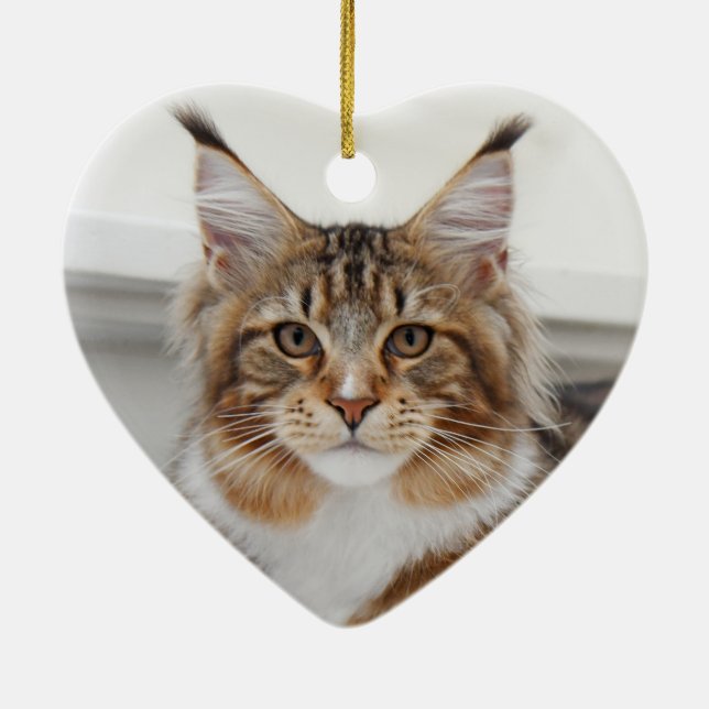 Décoration En Céramique Fluffy Maine Coon Cat (Dos)