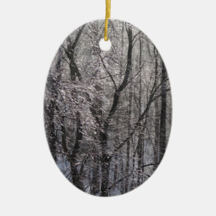 Décoration En Céramique Forêt de l'épaisse glacée dans la lumière du matin