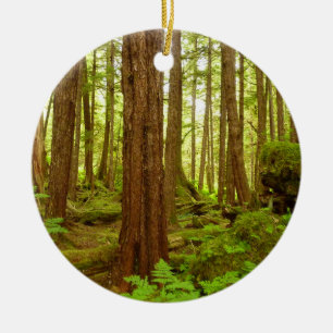 Décoration En Céramique Forêt pluviale tempérée de l'Alaska
