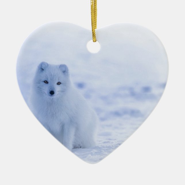Décoration En Céramique Fox arctique de l'Islande (Devant)